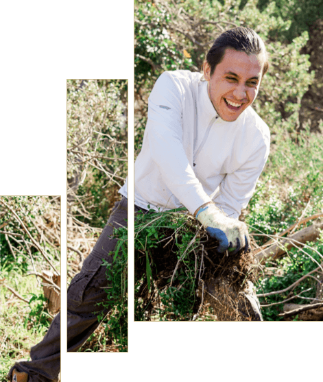 Volunteer pulling out weeds